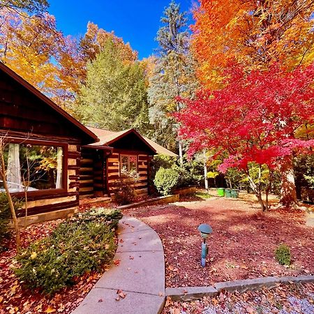 Log Cabin - Natures Oasis - Fire Pit & Gazebo Cleveland Exteriér fotografie