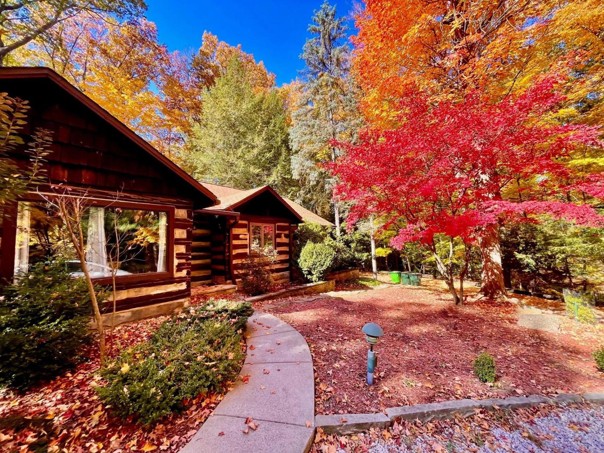 Log Cabin - Natures Oasis - Fire Pit & Gazebo Cleveland Exteriér fotografie