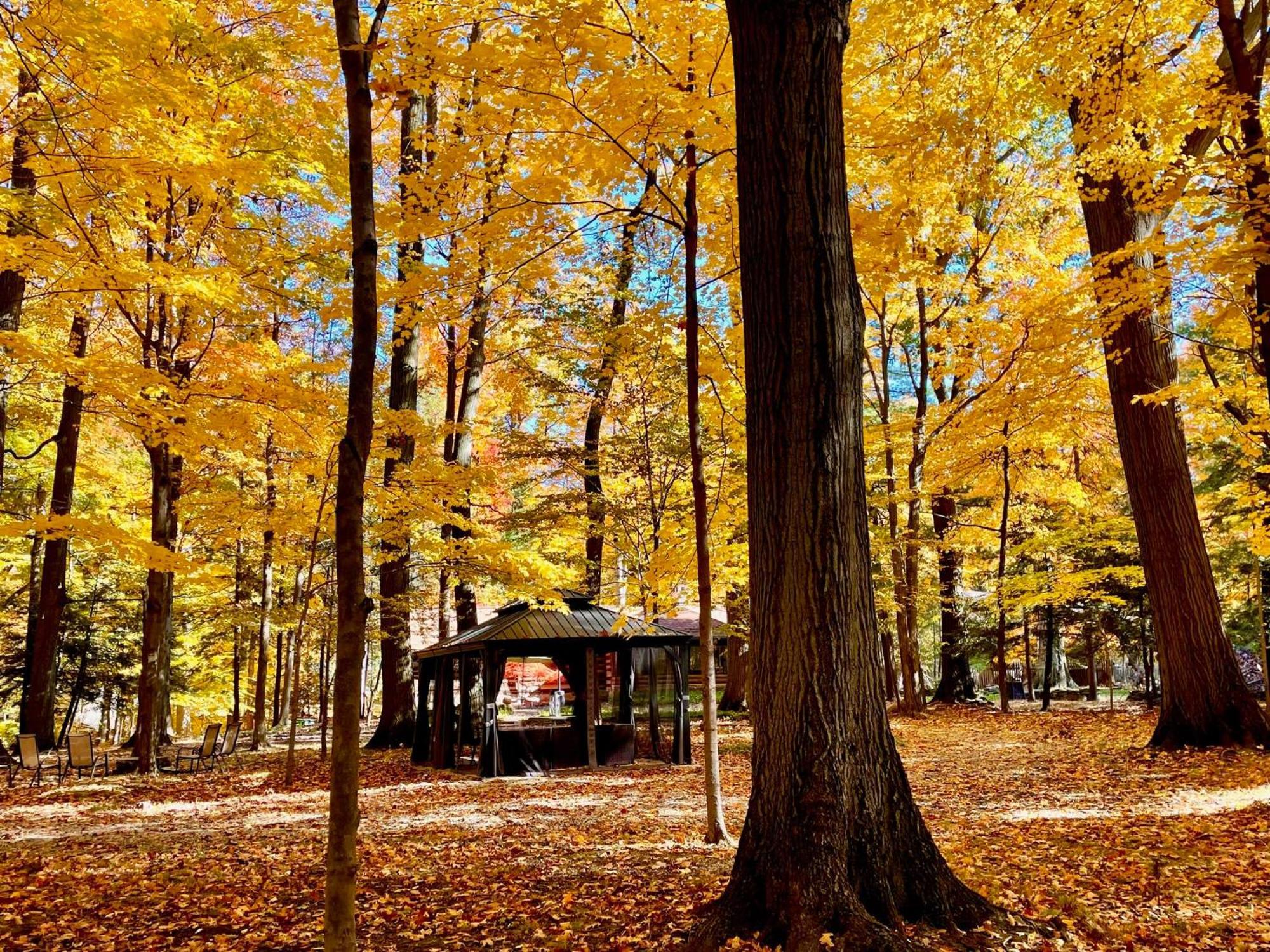Log Cabin - Natures Oasis - Fire Pit & Gazebo Cleveland Exteriér fotografie