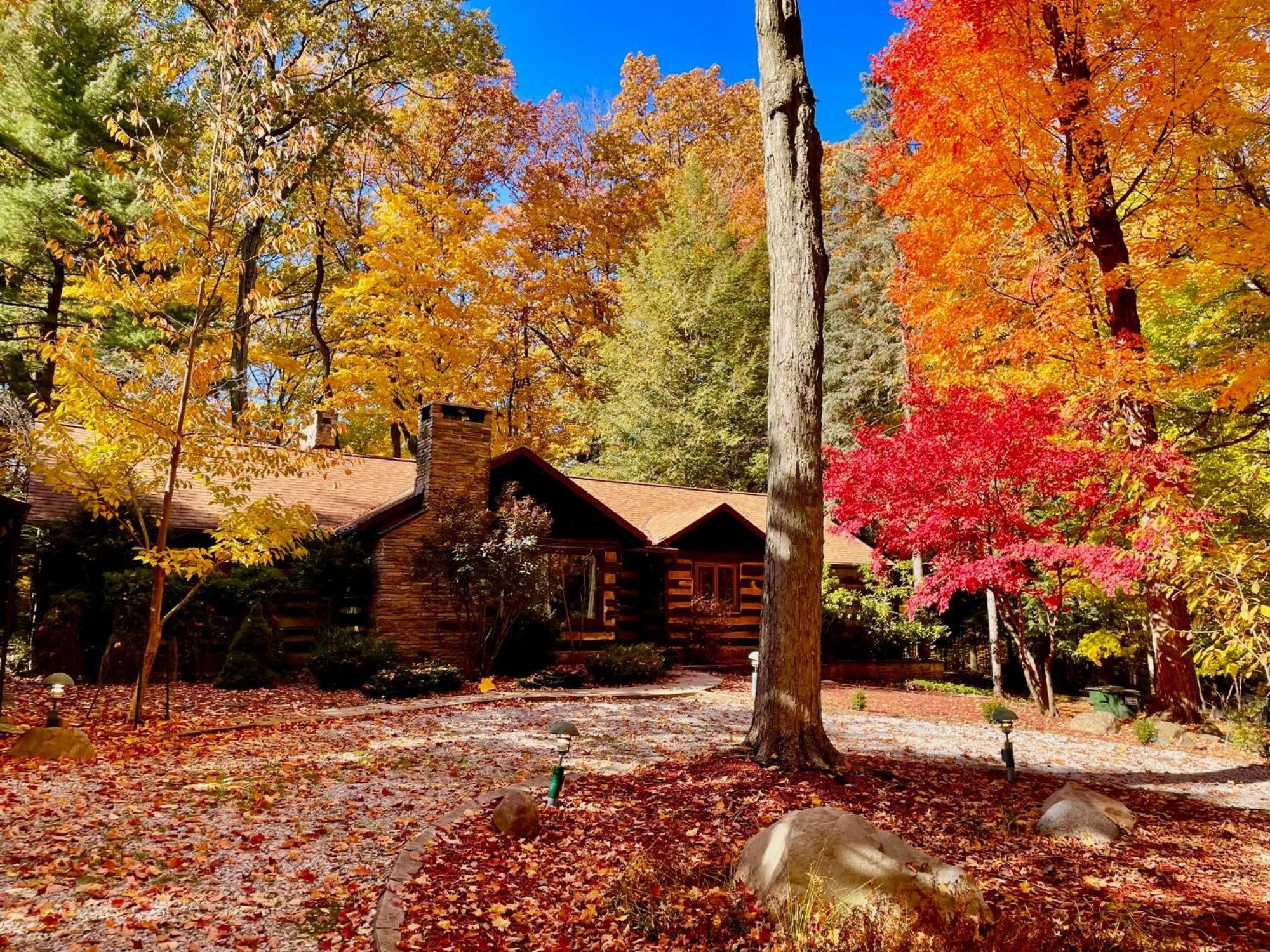 Log Cabin - Natures Oasis - Fire Pit & Gazebo Cleveland Exteriér fotografie